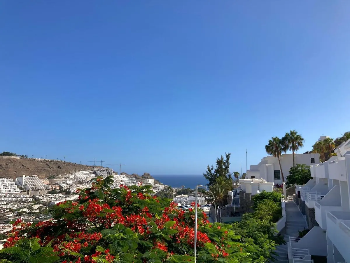 Carolina Apt 6 Gran Canaria Puerto Rico  Apartamento Puerto Rico (Gran Canaria)