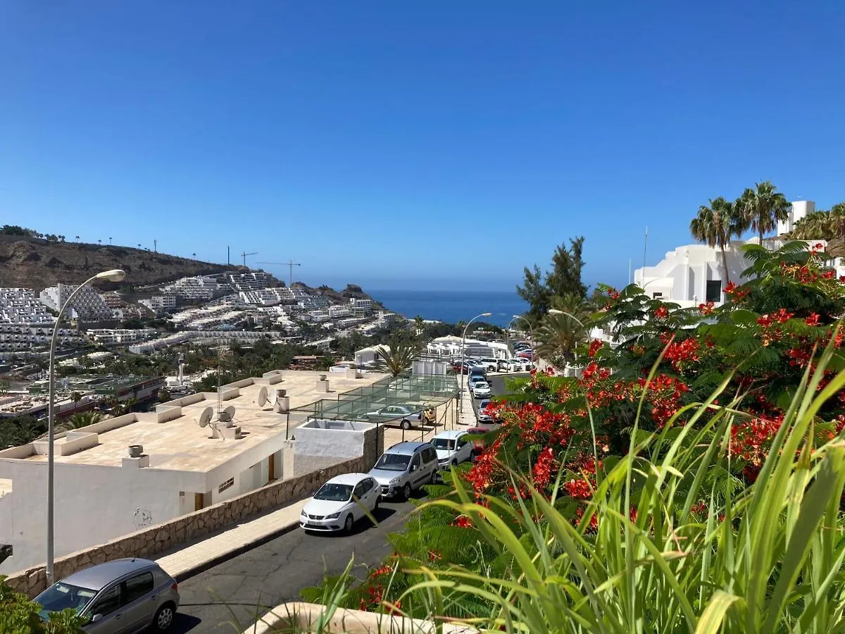 Carolina Apt 6 Gran Canaria プエルトリコ 0*,  スペイン